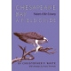 Chesapeake Bay: Nature Of The Estuary, A Field Guide