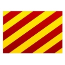 Signal "Y" Flag