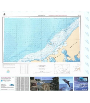 Cold Bay - NN
