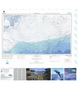 Simeonof Island - NN