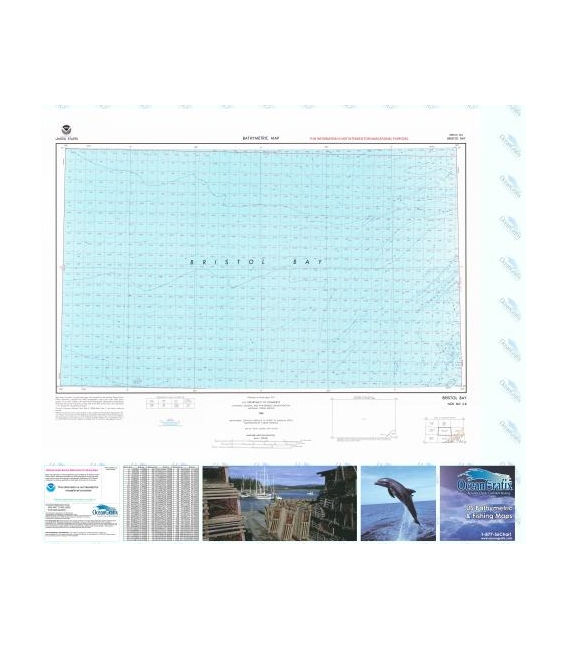 Bristol Bay- NO