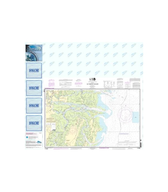 NOAA Chart 11508 Altamaha Sound