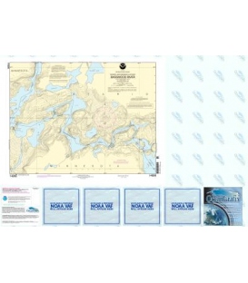 NOAA Chart 14990 Basswood River