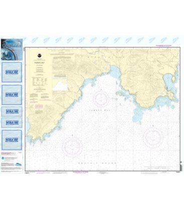 NOAA Chart 16431 Temnac Bay