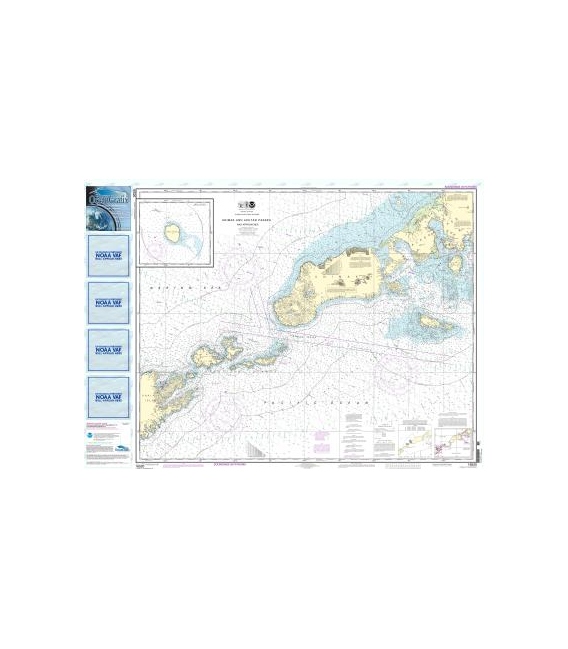 NOAA Chart 16520 Unimak and Akutan Passes and approaches - Amak Island