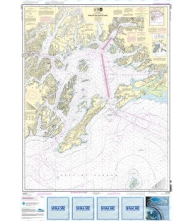 NOAA Chart 16700 Prince William Sound