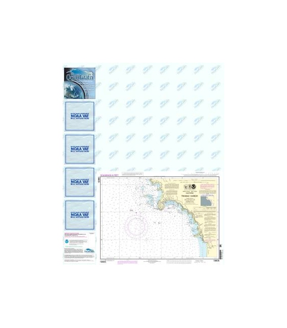 NOAA Chart 18605 Trinidad Harbor