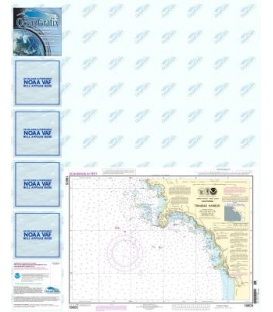 NOAA Chart 18605 Trinidad Harbor