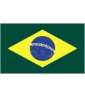 Brazil Courtesy Flag