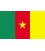 Cameroon Courtesy Flag
