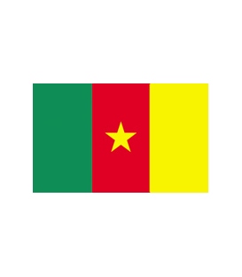 Cameroon Courtesy Flag