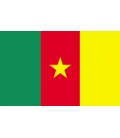 Cameroon Courtesy Flag