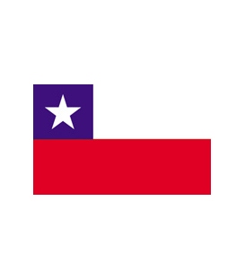 Chile Courtesy Flag