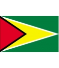Guyana Courtesy Flag
