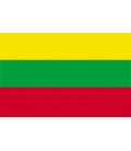 Lithuania Courtesy Flag