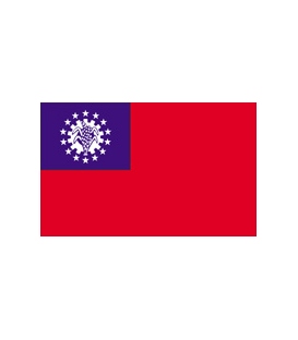 Myanmar Courtesy Flag
