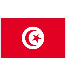 Tunisia Courtesy Flag