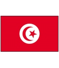 Tunisia Courtesy Flag