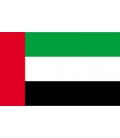United Arab Emirates Courtesy Flag