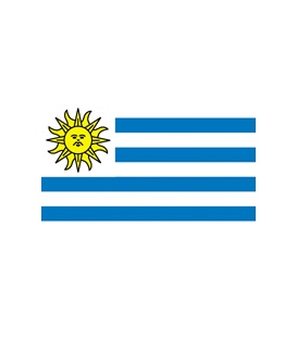 Uruguay Courtesy Flag