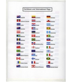 Flag Field Guide