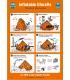 1003 Poster, Vital actions after liferaft launching
