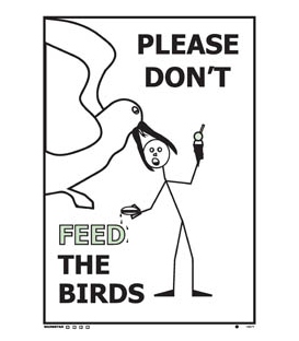 1507 Please don't feed the birds