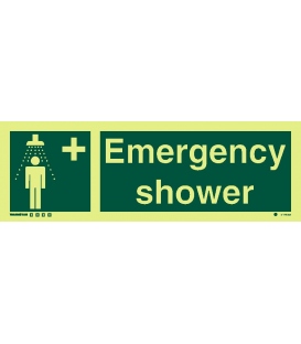 4176 Emergency shower