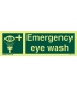 4177 Emergency eye wash
