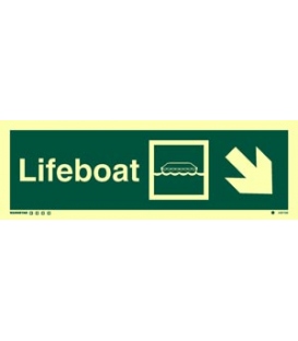 4307 Lifeboat + symbol + arrow diagonally down right
