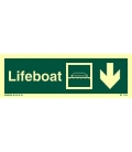 4309 Lifeboat + symbol + arrow down on right