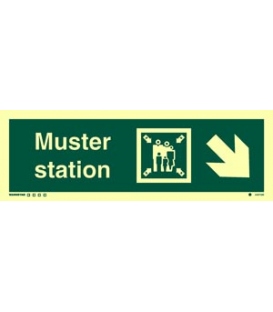 4337 Muster station + symbol + arrow diagonally down right
