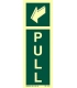 4486 Pull + backward arrow
