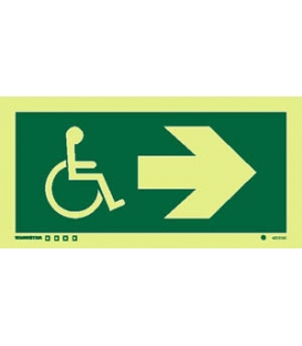 4825 Disabled symbol with arrow right