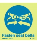 5100 Fasten seat belts 