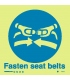 5100 Fasten seat belts - with text