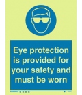 5730 Eye protection is provided for your safety and must be worn + symbol