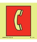 6025 Emergency telephone station