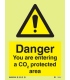 7545 Danger You are entering a CO2 protected area