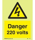 7617 Danger 220 volts