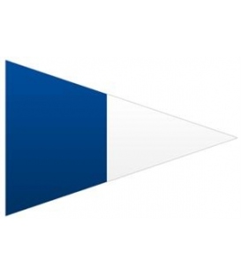 2nd Substitute Pennant (Flag)