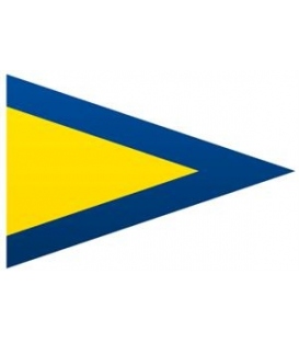 First Substitute Pennant (Flag)