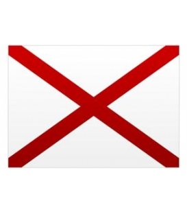 Signal Flag Letter V (Victor)