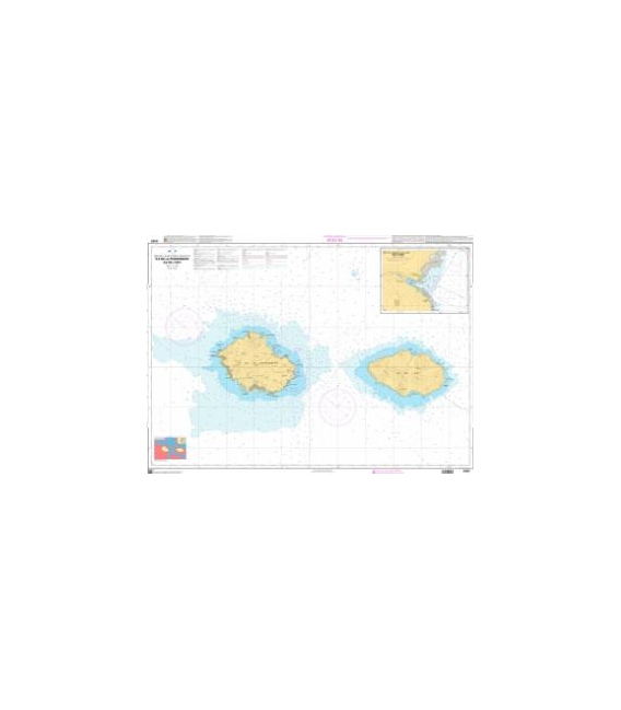 OceanGrafix French (SHOM) Nautical Chart SHOM 6497 Île de la Possession, Île de lEst