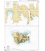 OceanGrafix French (SHOM) Nautical Chart 7352 Nuku-Hiva